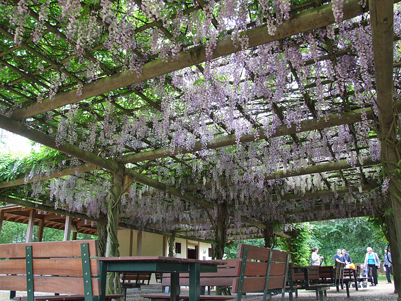 075_Pergola_800