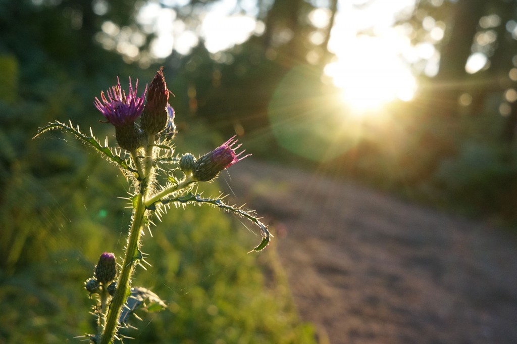 Sony Nex-6 mit Sony SEL20f28, f6.3, 1/80s, ISO 800, 20 mm