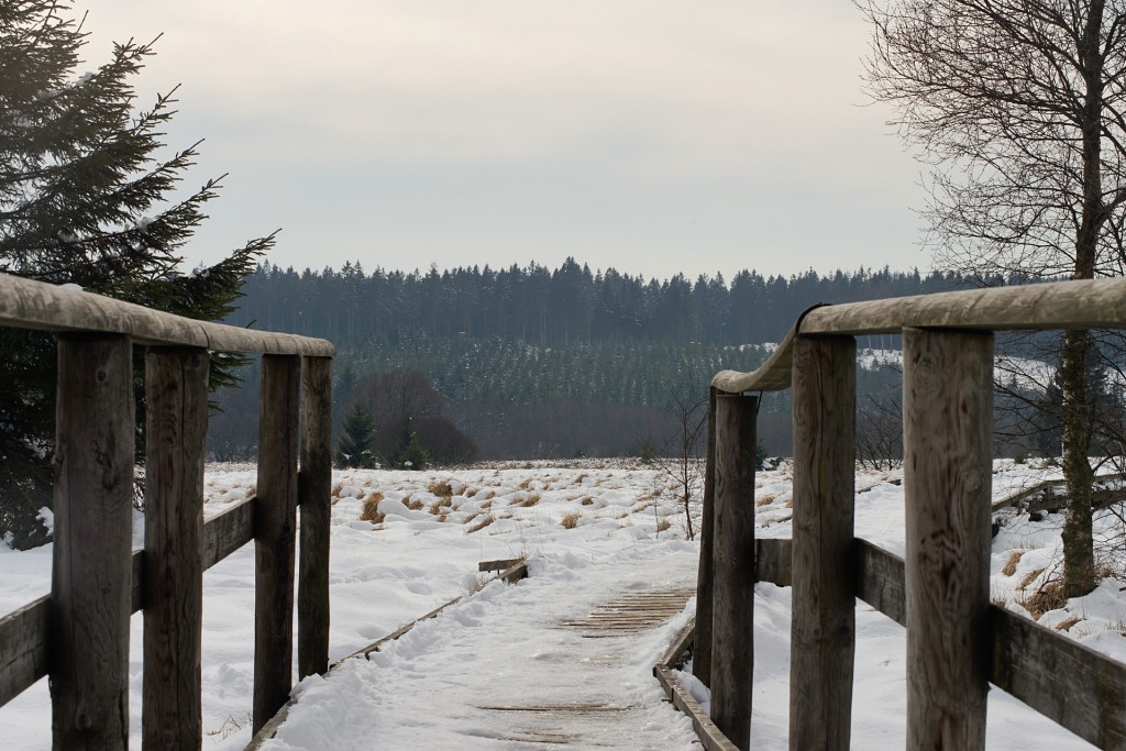 20-Gelaenderblick