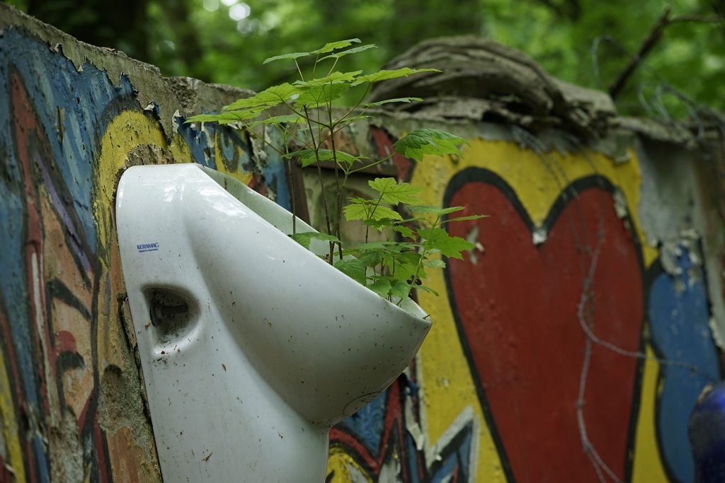 _DSC8165-Urinal