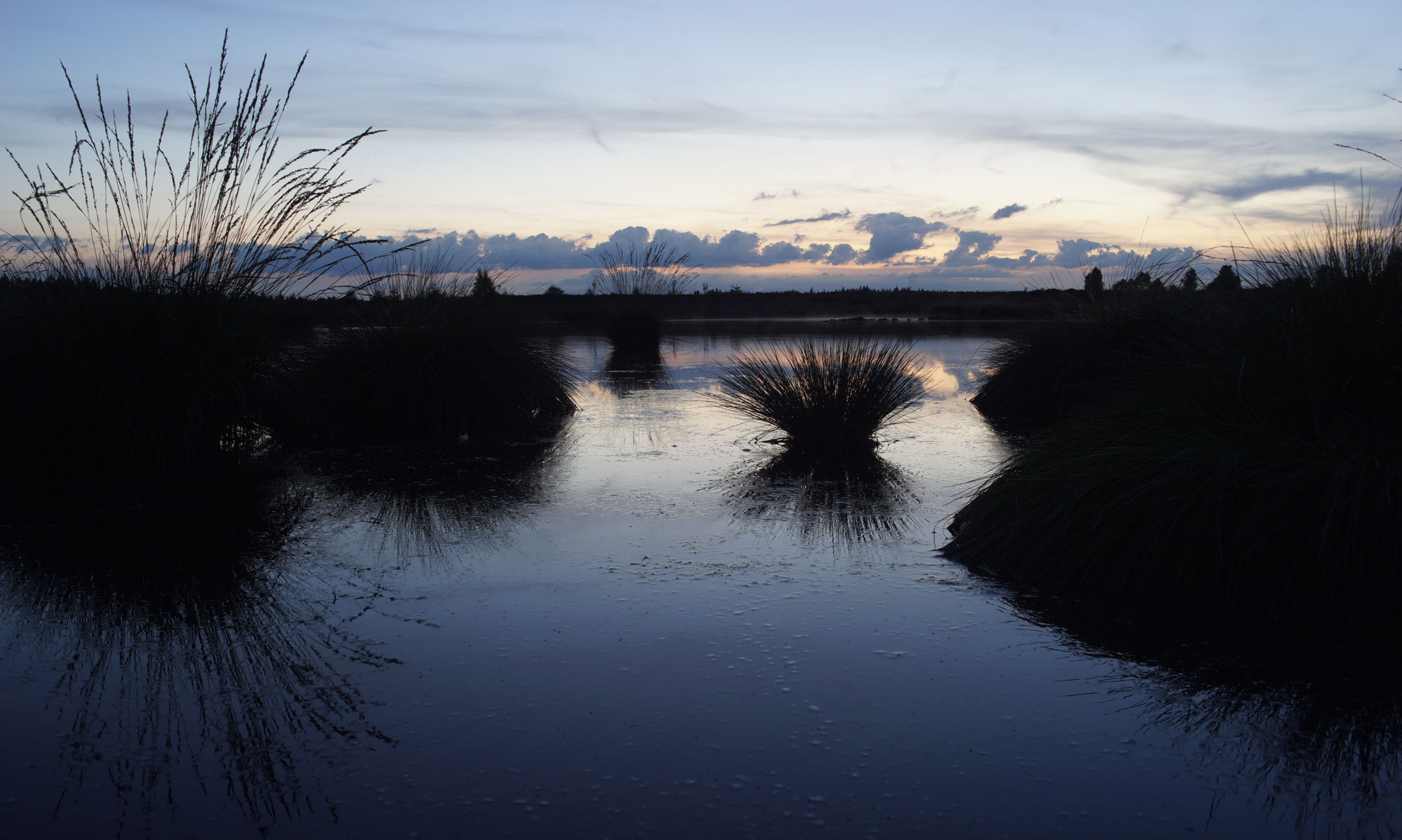 Hohes Venn, Belgien, Sony A7II mit Meyer Optik Orestegon 2.8 29